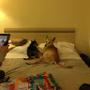 Meet your Posher, Maria